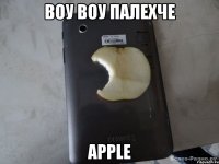 воу воу палехче apple