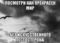 посмотри как прекрасен мир без искусственного тестостерона