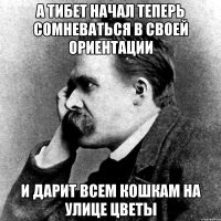 а тибет начал теперь сомневаться в своей ориентации и дарит всем кошкам на улице цветы