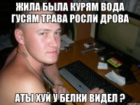 жила была курям вода гусям трава росли дрова аты хуй у белки видел ?