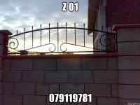 z 01 079119781