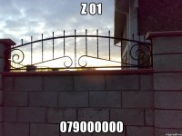 z 01 079000000