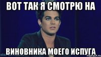 вот так я смотрю на виновника моего испуга