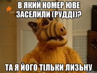в який номер юве заселили (рудді)? та я його тільки лизьну