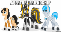 aperture friendship 