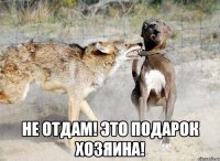  не отдам! это подарок хозяина!