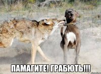  памагите! грабють!!!