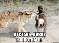  отстань, дикое жывотнае!!!