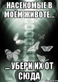 насекомые в моём животе... ... убери их от сюда