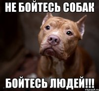 не бойтесь собак бойтесь людей!!!