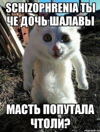 schizophrenia ты че дочь шалавы масть попутала чтоли?