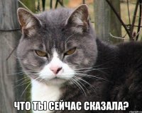  что ты сейчас сказала?