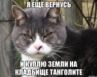 я ещё вернусь и куплю земли на кладбище танголите