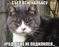 съел всю калбасу урод,даже не подилился...