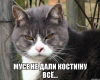  мусе не дали кости!ну всё...