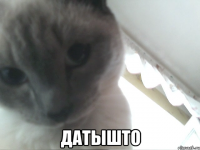  датышто