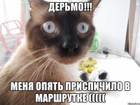 дерьмо!!! меня опять приспичило в маршрутке (((((