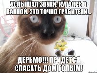 услышал звуки, купаясь в ванной. это точно грабители... дерьмо!!! придется спасать дом голым!