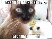 пирло отдали ювентусу бесплатно!!!1