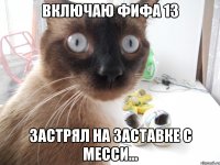 включаю фифа 13 застрял на заставке с месси...