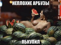 неплохие арбузы ябкупил