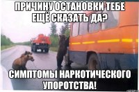 причину остановки тебе ещё сказать да? симптомы наркотического упоротства!