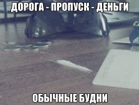 дорога - пропуск - деньги обычные будни