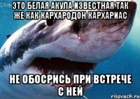 это белая акула известная так же как кархародон кархариас не обосрись при встрече с ней