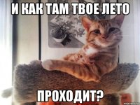 и как там твое лето проходит?