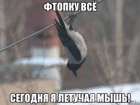 фтопку всё сегодня я летучая мышь!