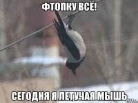 фтопку всё! сегодня я летучая мышь