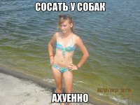 сосать у собак ахуенно