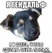 я гендальф я и здесь, чтобы сделать обувь пылью.