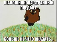 шапошникова странный предмет больше не чего сказать...