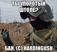 ты упоротый штоле? бан. (с) hardingush