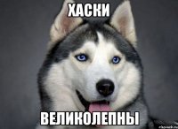хаски великолепны