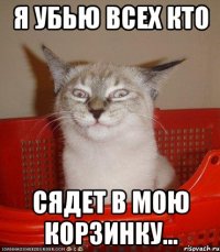 я убью всех кто сядет в мою корзинку...