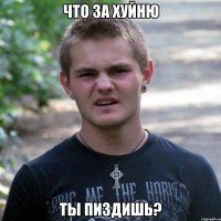 что за хуйню ты пиздишь?