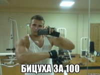  бицуха за 100