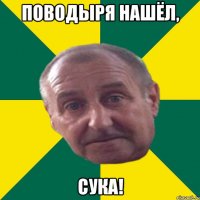 поводыря нашёл, сука!