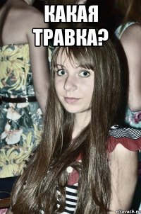 какая травка? 