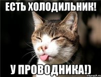 есть холодильник! у проводника!)