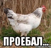  проебал...