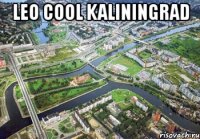 leo cool kaliningrad 