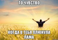 то чувство когда в тебя плюнула лама