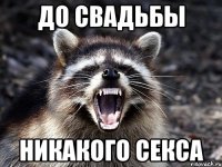 до свадьбы никакого секса