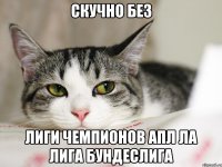 скучно без лиги чемпионов апл ла лига бундеслига