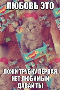 любовь это ложи трубку первая нет любимый давай ты