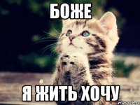 боже я жить хочу