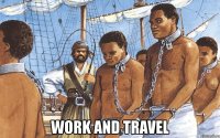  work and travel